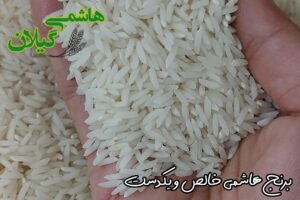 هاشمی درجه یک رشت