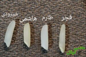 تشخیص برنج هاشمی