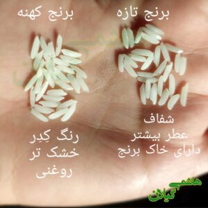 تشخیص برنج تازه از کهنه
