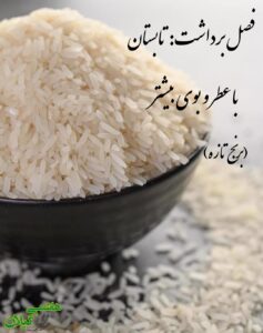 عکس برنج تازه