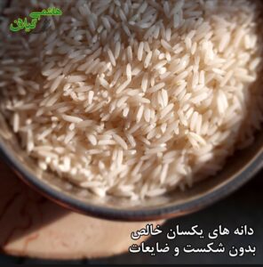 قیمت برنج هاشمی درجه یک امروز